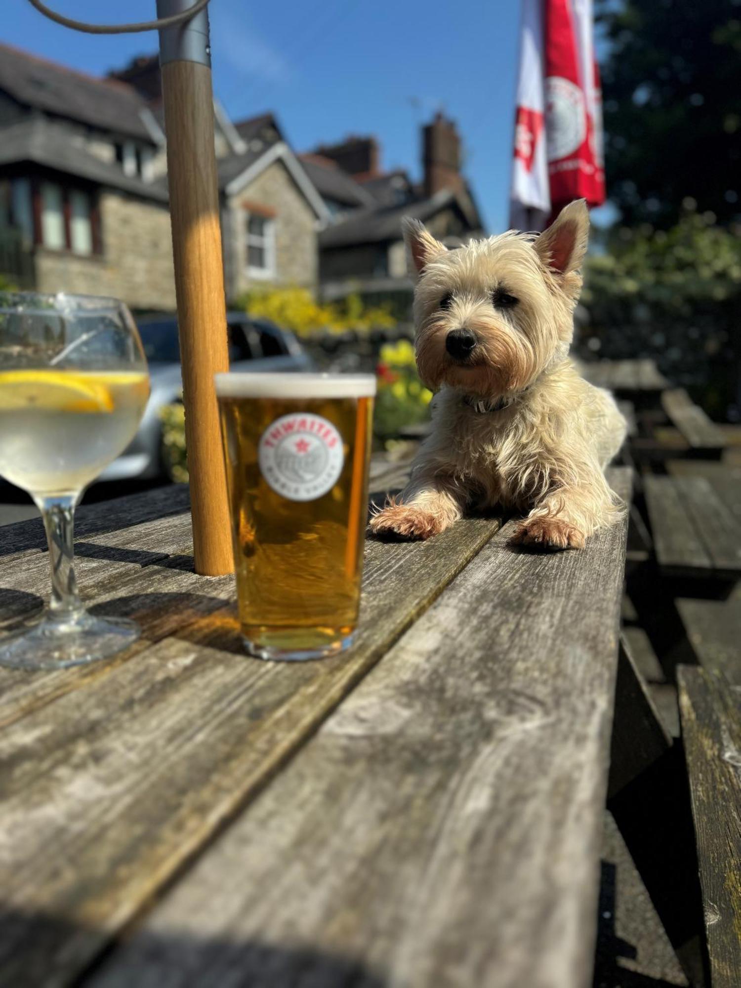 Hotel Craven Heifer Ingleton  Esterno foto